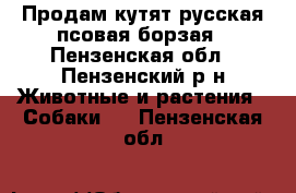 Продам кутят русская псовая борзая - Пензенская обл., Пензенский р-н Животные и растения » Собаки   . Пензенская обл.